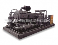 AETM系列絕壓無(wú)油中高壓壓縮機(jī)